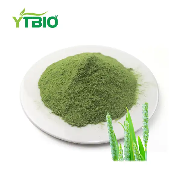 Can Barley Grass Powder Improve Digestive Enzyme Activity? Can Barley Grass Powder Improve Digestive Enzyme Activity?